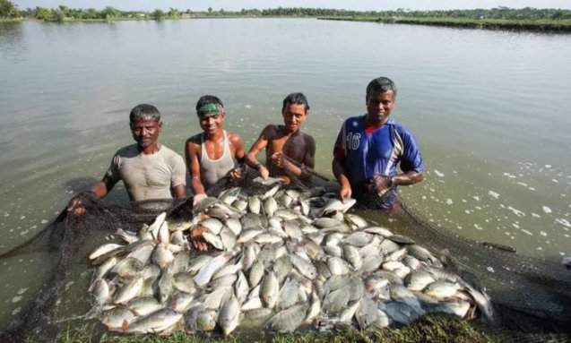 Essential Fish Farming Techniques for Optimal Growth